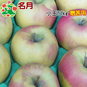 y\z11{`\ I5kg X p Yn j v[g Ԃ i