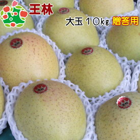 【順次発送開始‼】 王林特選大玉 10kg 送料無料 産地直送 産直 御歳暮 歳暮 内祝い プレゼント 内祝 お返し 贈答品 食べ物 旬の くだもの 果物
