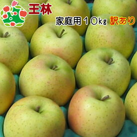 王林家庭用キズあり10kg 青森りんご 訳あり 自宅用 お試し