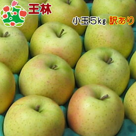 【順次発送開始‼】王林小玉キズあり5kg 家庭用 青森 りんご 訳あり 自宅用