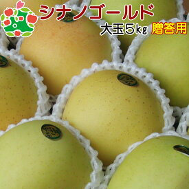 【予約】　シナノゴールド特選大玉5kg 内祝い プレゼント お返し 贈答品