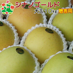 VimS[hI10kg X Mtg j v[g Ԃ i