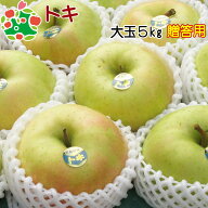 【オータムセール!! 50％OFF】トキ 特選大玉 5kg 送料無料 りんご 青森りんご 青森 内祝い プレゼント ギ…