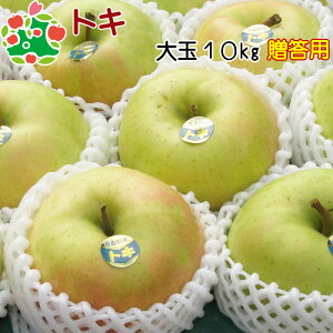 りんご 贈答用 青森 トキ 特選 大玉 ギフト 10kg 送料無料 産地直送 産直 内祝い プレゼント 内祝 お返し 贈答品 食べ物 旬の くだもの 果物
