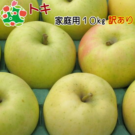 トキ家庭用キズあり10kg 自宅用 ワケあり お試し