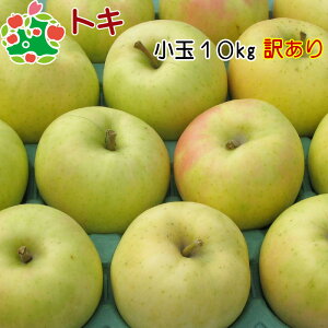   󂠂 X gL ƒp  LY 10kg  Yn Y p P  H Hו {  ʕ
