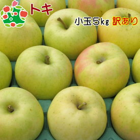 りんご 訳あり 青森 トキ 小玉 キズあり 5kg 送料無料 産地直送 産直 自宅用 ワケあり お試し 試食 食べ物 旬の くだもの 果物