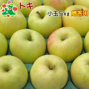りんご 贈答用 青森 トキ 特選 小玉 ギフト 5kg 送料無料 産地直送 産直 御歳暮 歳暮 内祝い プレゼント 内祝 お返し 贈答品 食べ物 旬の くだもの 果物