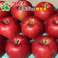 葉とらずつがる 特選中玉 5kg 送料無料 りんご 贈答用 青森 産地直送 産直 御歳暮 歳暮 内祝い プレゼン…
