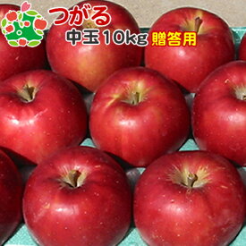 葉とらずつがる 特選中玉 10kg 送料無料 りんご 贈答用 青森 産地直送 産直 御歳暮 歳暮 内祝い プレゼント 内祝 お返し 贈答品 食べ物 旬の くだもの 果物