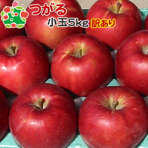  󂠂 X tƂ炸  ƒp  LY 5kg  Yn Y p P  H Hו {  ʕ