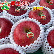 【オータムセール!! 50％OFF】早生ふじ 特選大玉5kg 送料無料 りんご 青森 自宅用 内祝い プレゼント お…