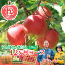 りんご 家庭用 青森 毎月お届け 桜庭りんご農園頒布会【松】10kg 旬の味覚12ヶ月コース 沖縄以外送料無料 きおう つがる ジョナゴールド トキ 名月 葉とらずふじ シナノゴールド 金星 王林 100%りんごジュース