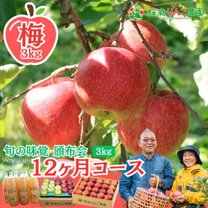  ƒp X ͂ 񂲔_Еzy~z3kg {̖o12R[X ȊO VimXC[g WiS[h gL  tƂ炸ӂ VimS[h   