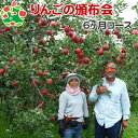 予約購入 葉とらずふじ 青森りんご 訳あり 家庭用 キズあり 5kg 【2025年8月18日締切】 9月お届け開始 頒布会 6ヶ月コース 沖縄以外送料無料 きおう つがる ジョナゴールド トキ 名月 葉とらずふじ シナノゴールド