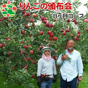 青森県産 りんごの人気商品 通販 価格比較 価格 Com 青森県産 りんごの人気商品 通販 価格比較 価格 Com