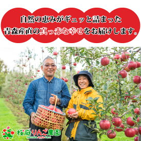 【予約】葉とらずふじ小玉キズあり5kg 青森りんご 訳あり 自宅用 お試し