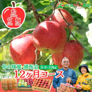 ��� �ƒ�p �X �������͂� �����񂲔_���Еz��y��10kg�z�y�|5kg�z�y�~3kg�z �{�̖��o12�����R�[�X ����ȊO�������� �V�i�m�X�C�[�g �W���i�S�[���h �g�L ���� �t�Ƃ炸�ӂ� �V�i�m�S