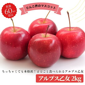 アルプス乙女キズあり 2kg りんご 訳あり 希少 青森 送料別 ミニサイズ