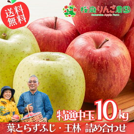 【予約】葉とらずふじ・王林 詰め合わせ 特選中玉10kg 青森りんご 贈答用 自宅用