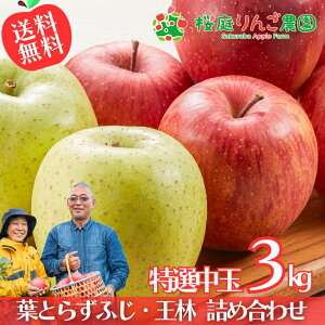 y\z11{`Jn tƂ炸ӂE lߍ킹 I3kg X p p