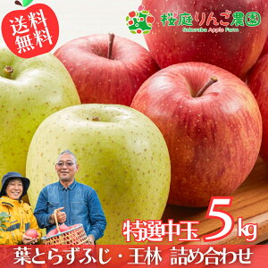 【予約】11月下旬頃〜発送開始 葉とらずふじ・王林 詰め合わせ 特選中玉5kg 青森りんご 贈答用 自宅用