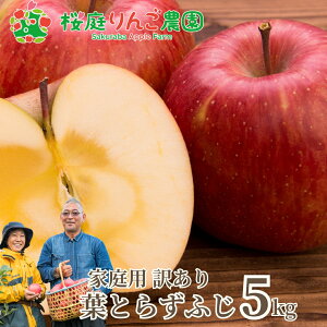 y\z11{`Jn tƂ炸ӂƒpLY5kg X 󂠂 p