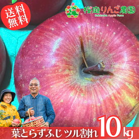 葉とらずふじ ツル割れ10kg 青森りんご 訳あり 家庭用