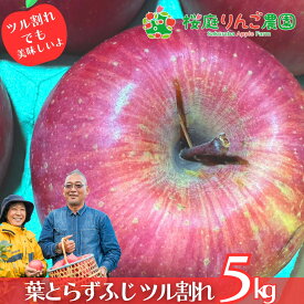 葉とらずふじ ツル割れ5kg 青森りんご 訳あり 家庭用