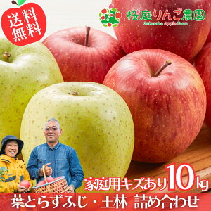 【予約】11月下旬頃〜発送開始 葉とらずふじ・王林 詰め合わせ 家庭用キズあり10kg 青森りんご 訳あり 自宅用