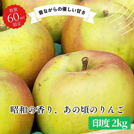 印度家庭用キズあり2kg 青森りんご 訳あり 産地直送 自宅用 お試し