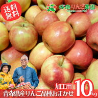 大特価！！なんと送料無料！！ 青森県産 加工用 りんご 品種おまかせ 10kg 産地直送 産直 自宅用 青森ワ…