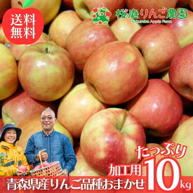 大特価！！ 青森県産 加工用 りんご 品種おまかせ 10kg 送料無料 産地直送 産直 自宅用 青森ワケあり お試し 試食 食べ物 旬の くだもの 果物 お菓子作り パフェ アップルパイ ジャム