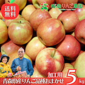 大特価！！ 青森県産 加工用 りんご 品種おまかせ 5kg 送料無料 産地直送 産直 自宅用 青森ワケあり お試し 試食 食べ物 旬の くだもの 果物 お菓子作り パフェ アップルパイ ジャム