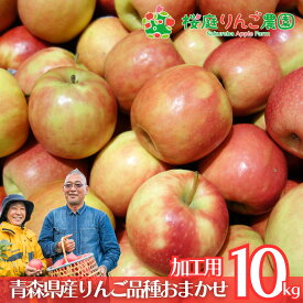大特価！！ 青森県産 加工用 りんご 品種おまかせ 10kg 産地直送 産直 自宅用 青森ワケあり お試し 試食 食べ物 旬の くだもの 果物 お菓子作り パフェ アップルパイ ジャム