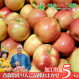 大特価！！ 青森県産 加工用 りんご 品種おまかせ 5kg 産地直送 産直 自宅用 青森ワケあり お試し 試食 食べ物 旬の くだもの 果物 お菓子作り パフェ アップルパイ ジャム