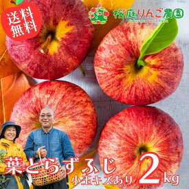 葉とらずふじ 小玉キズあり2kg 青森りんご 訳あり 自宅用