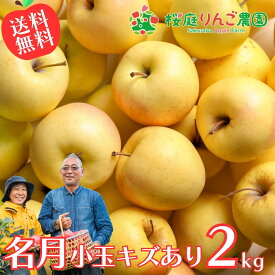 名月 小玉キズあり 2kg 送料無料 産地直送 産直 自宅用 ワケあり お試し 試食 食べ物 旬の くだもの 果物