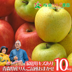 【大特価!!】♪ 何が届くかお楽しみ♪ 旬のりんご詰め合わせ⁇ 青森県産 品種おまかせ 家庭用キズあり10kg 青森りんご 訳あり 自宅用