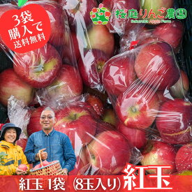 3袋以上購入で送料無料！紅玉家庭用キズあり8玉入り 訳あり 青森りんご 袋詰 【送料別】【5個まで購入可能】