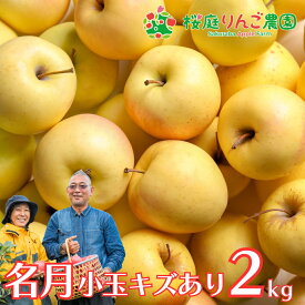 名月 小玉キズあり 2kg 産地直送 産直 自宅用 ワケあり お試し 試食 食べ物 旬の くだもの 果物