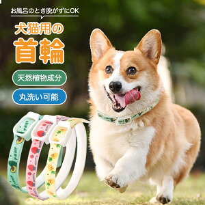 h֔L̎ ybgp VRAh U Ĉ܂܎gp 􂦂 Jbg\ TCY A{Jh C`S pCibv fUC  L Ή {炵fUC 