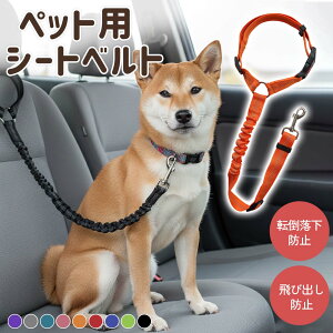  V[gxg ybgObY hCupi [h wbhXg Lk \ iC ˍޓ ybgpV[gxg яoh~  㕔 яoh~  㕔