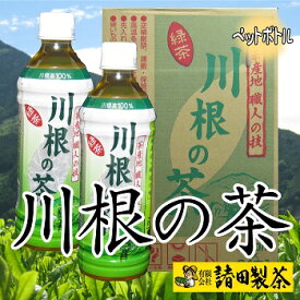 静岡 川根 久野脇産 1番茶葉 茶師伝来の味と香りの「ペットボトル川根の茶」500mlx24本入り 2ケース（合計48本） 川根茶 緑茶 日本茶 ペットボトル