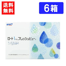 ロート ワンデーフレッシュビュー リッチモイスト（90枚入）×6箱 RHOTO 1DAY フレッシュビュー