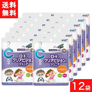 NArWWjA60 12 [g Tvg q Tv u[x[ ǂ eC NZ` qǂ  rx[ ڂ̃Tv `Au  NHi ACPA 