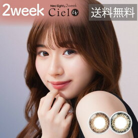 ネオサイト2weekシエルUV 1箱（6枚入り） シエルブラウン シエルグリーン カラーコンタクト ネオサイト2ウィークシエルUV 株式会社アイレ