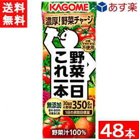 カゴメ 野菜一日これ一本 200ml 24本×2ケース 48本 あす楽 宅急便配送