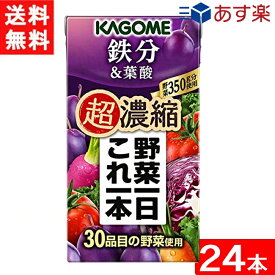 カゴメ 野菜一日これ一本 超濃縮 鉄分＆葉酸 125ml 24本 1ケース あす楽 宅急便配送