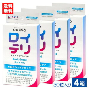 Ce_ۃTvg Basic Guard 30×4 Ce ~gTvg ^ubg PA L΍